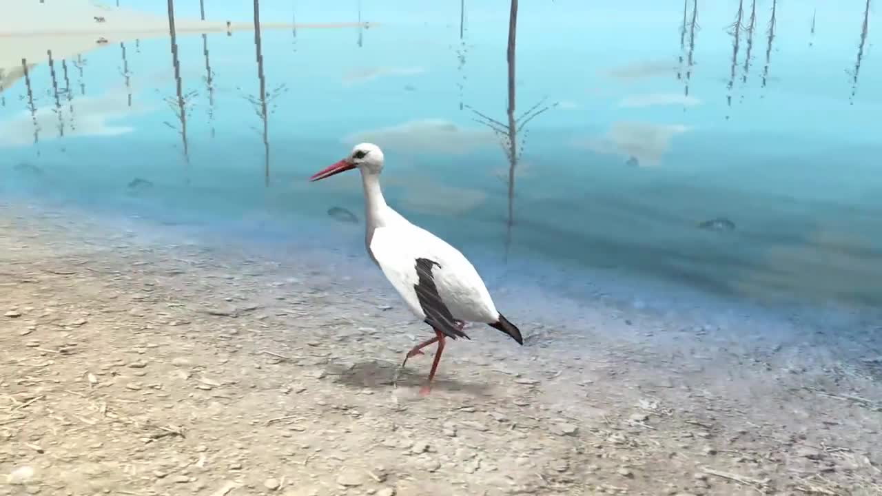 Bird Simulator 