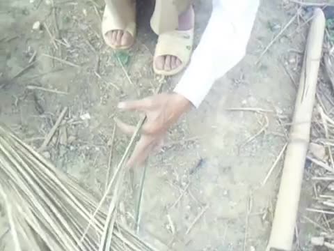 Đánh tranh làm nhà