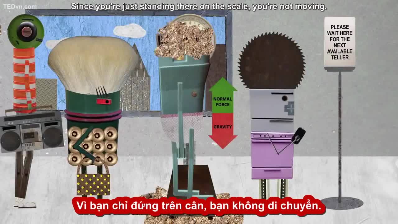 TED Ed Vietsub Bạn nặng hơn hay nhẹ hơn khi đi thang máy 