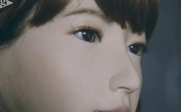 Erica Robot