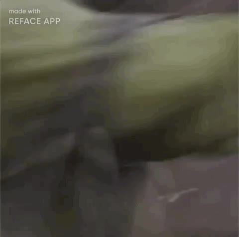 Refaceapp