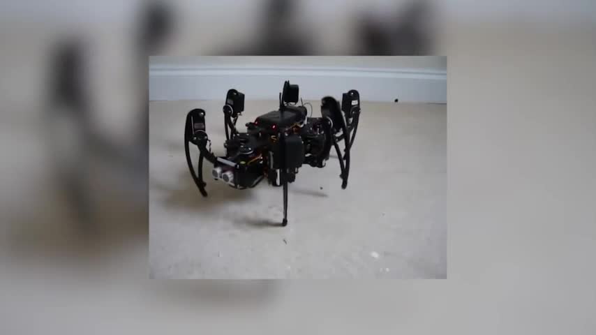 Cận cảnh robot hình dáng nhện lớn nhất thế giới