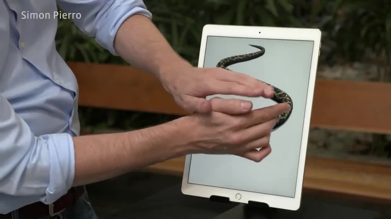 Màn ảo thuật con rắn chui ra từ iPad. 