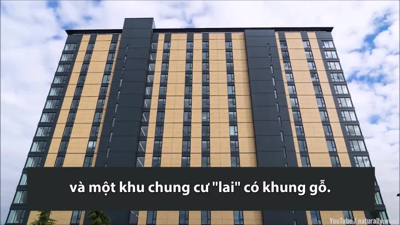Tại sao gỗ có thể xây nhà chọc trời cao gần trăm mét?