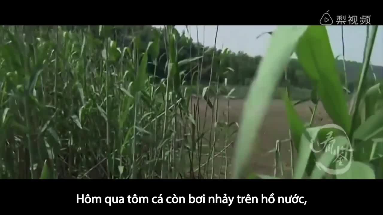 'Hồ ma' biến mất sau một đêm