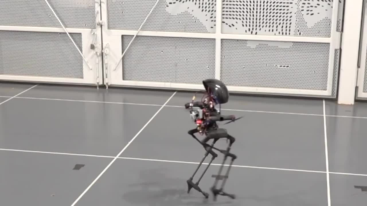 Robot có thể đi bộ và bay như chim