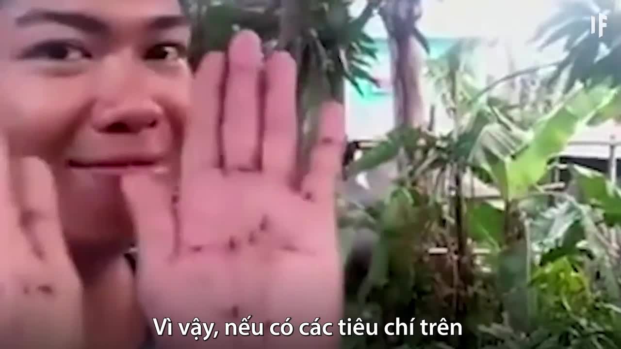Một triệu con muỗi đốt có thể chết người?