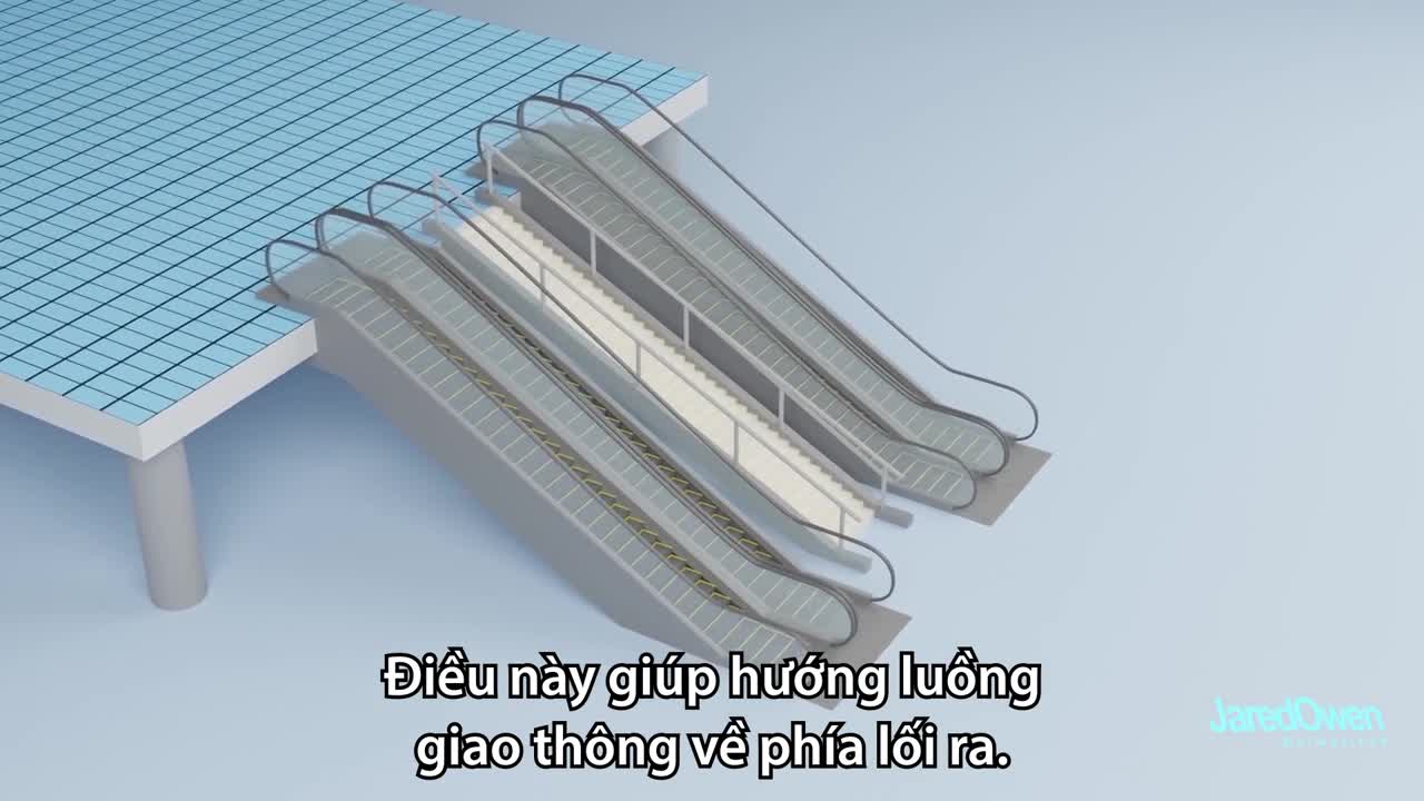 Thang cuốn hoạt động như thế nào?