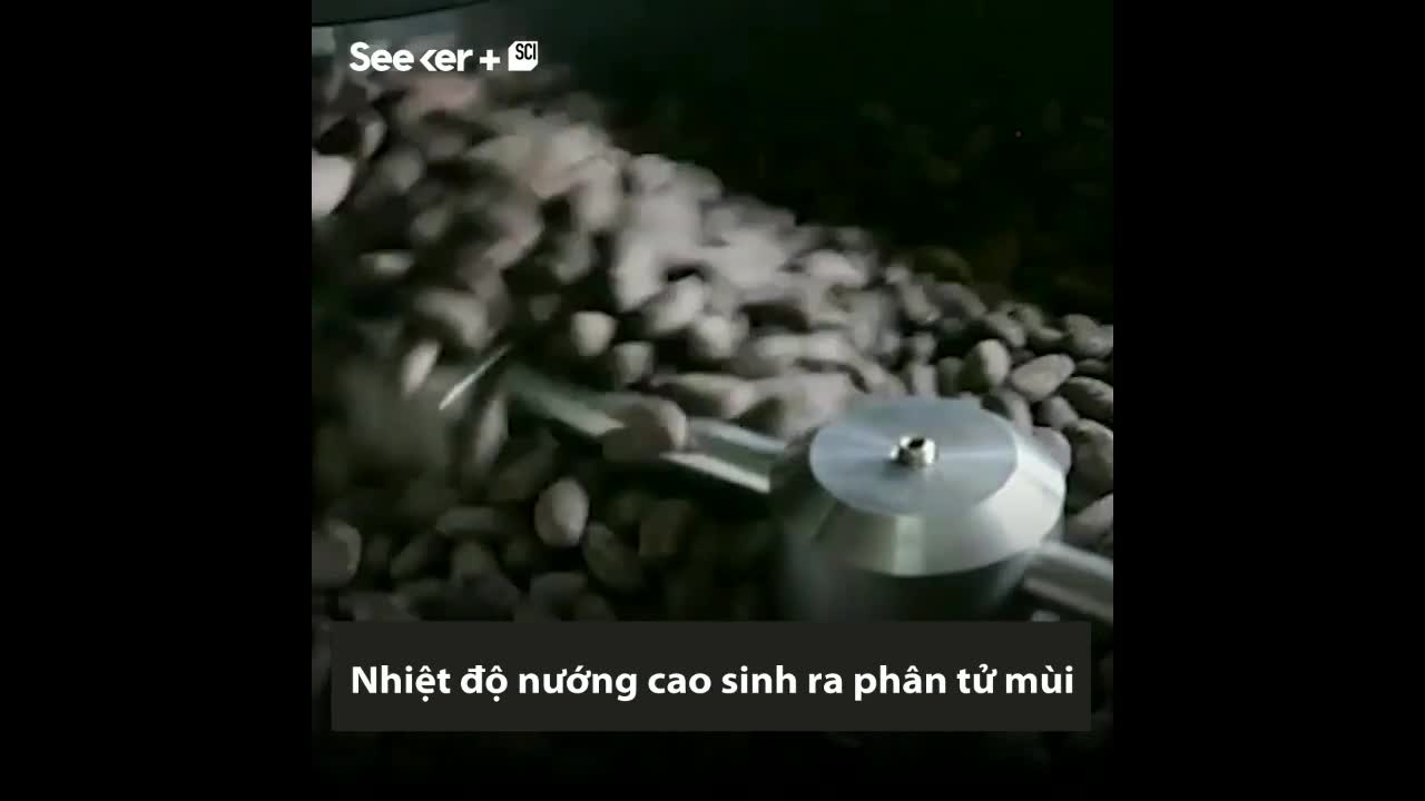 Chocolate được sản xuất như thế nào?