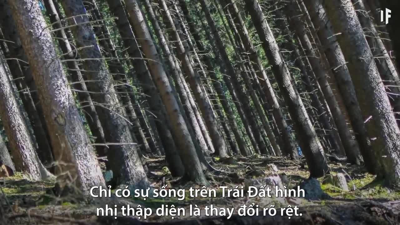 Điều gì xảy ra nếu Trái Đất có hình đa diện?