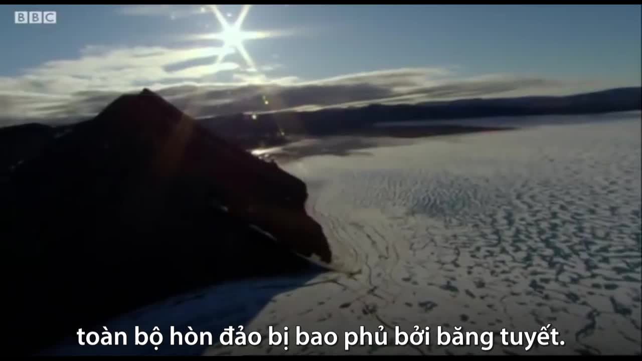 Loài chim cắt to lớn và mạnh mẽ nhất thế giới