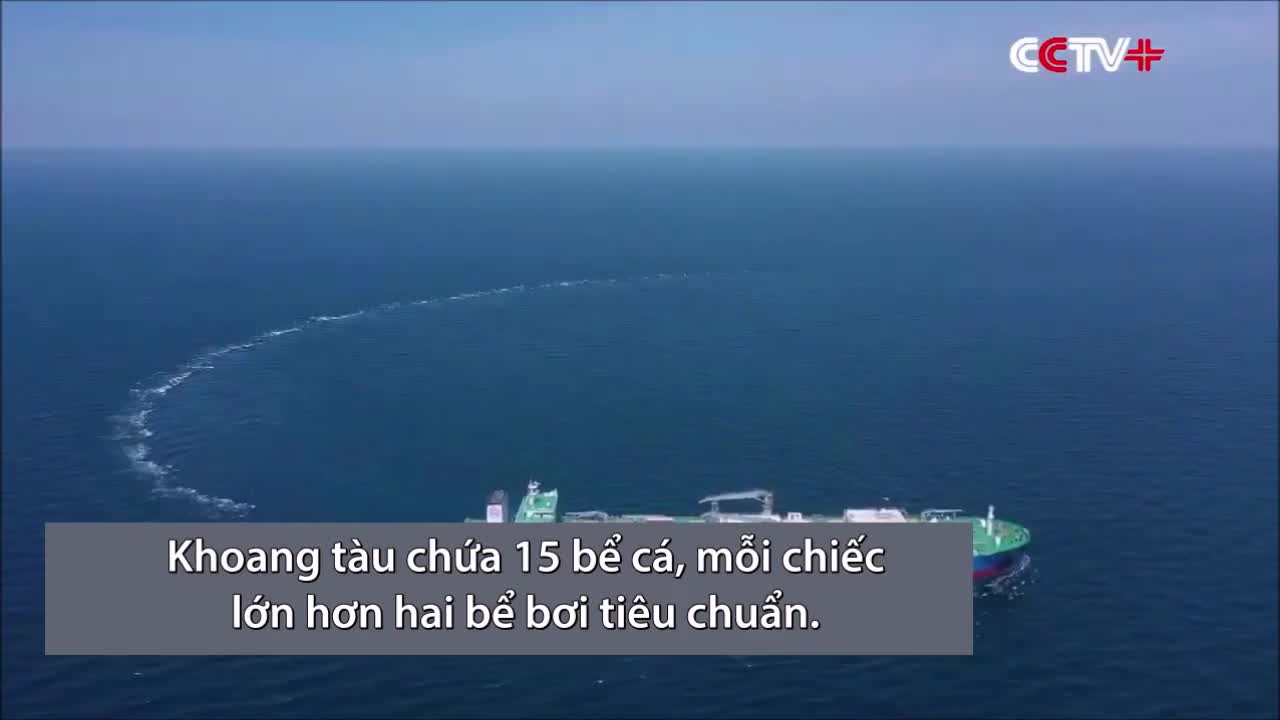 'Trại cá di động' 100.000 tấn đầu tiên trên thế giới