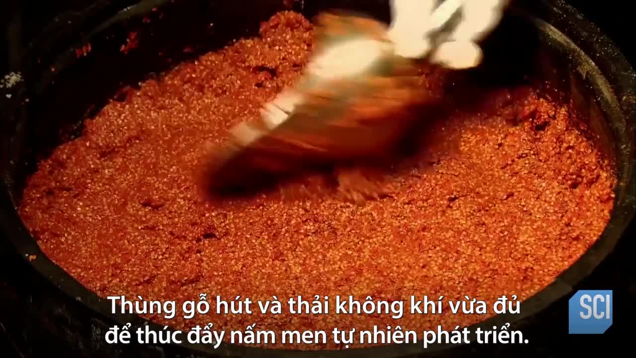 Quy trình sản xuất tương ớt