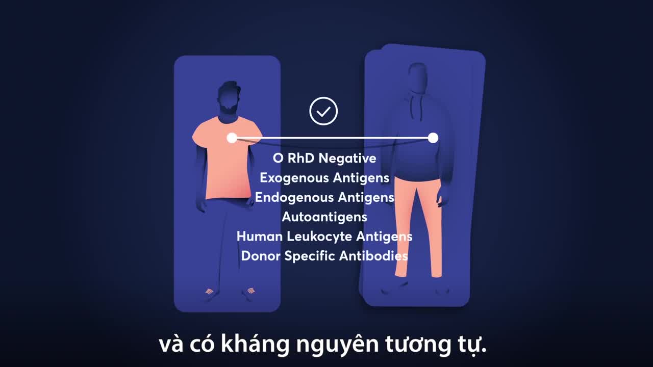 Phẫu thuật ghép tim diễn ra như thế nào