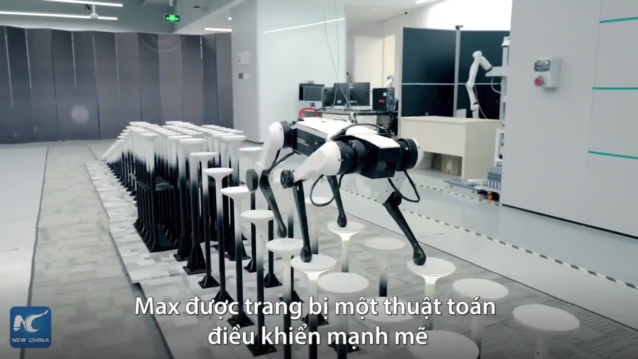 Chó robot trình diễn kỹ năng đi trên cột