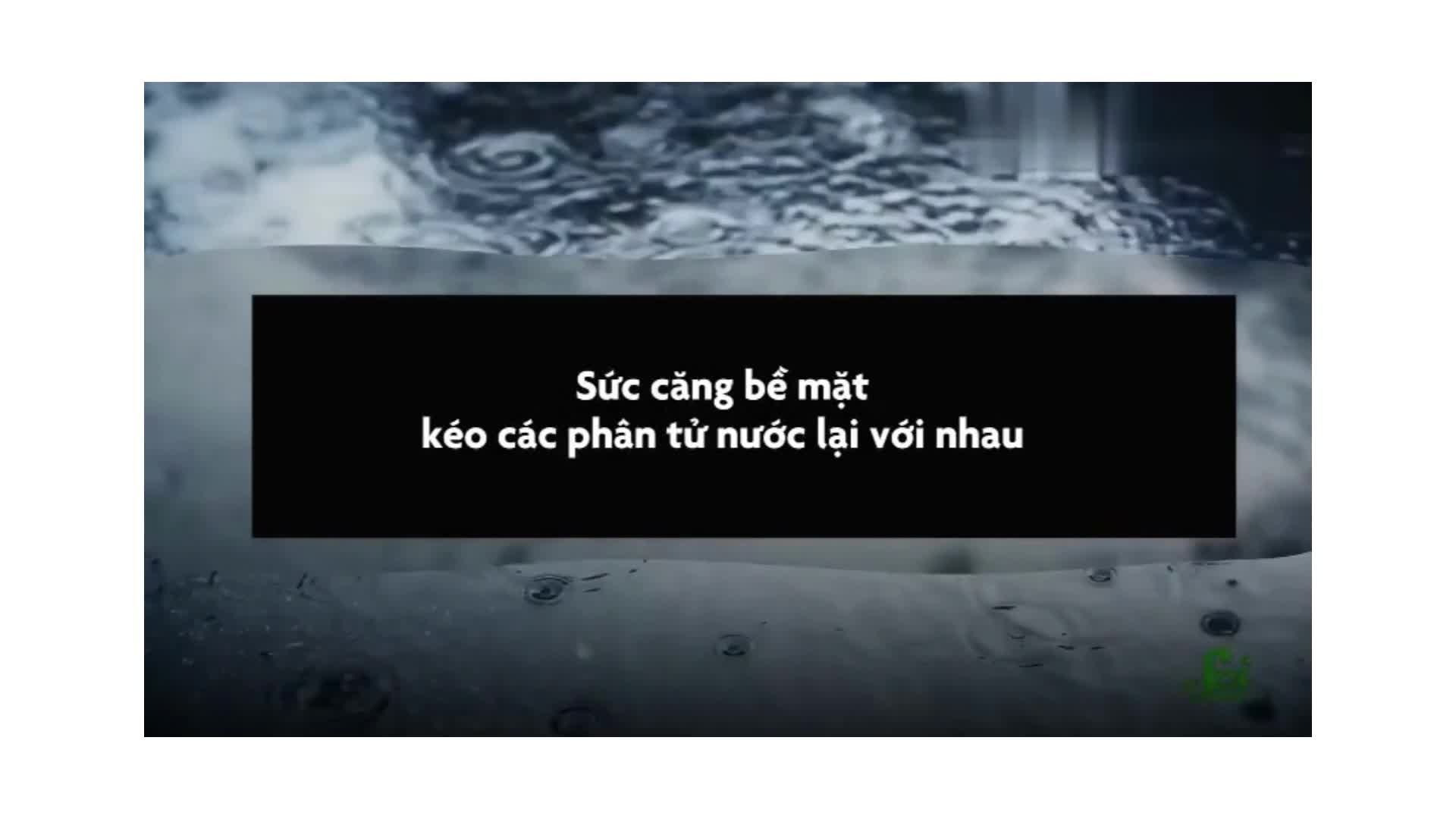 Giọt mưa có hình gì