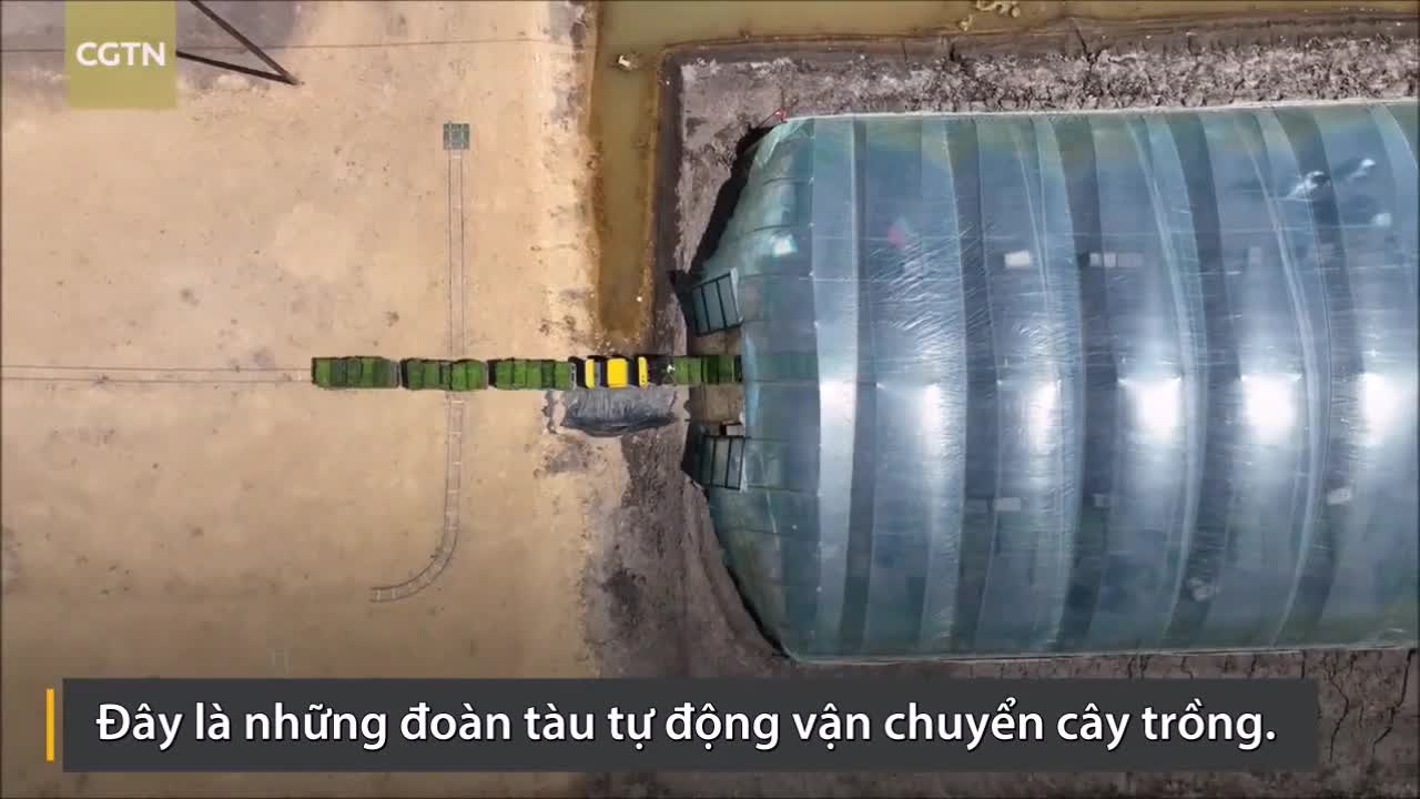 Bên trong trang trại 'không người' ở Trung Quốc