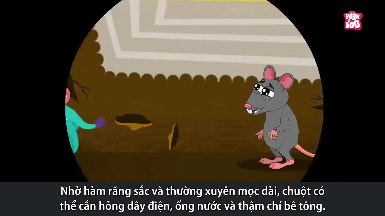 Điều gì xảy ra nếu chuột biến mất trên Trái Đất