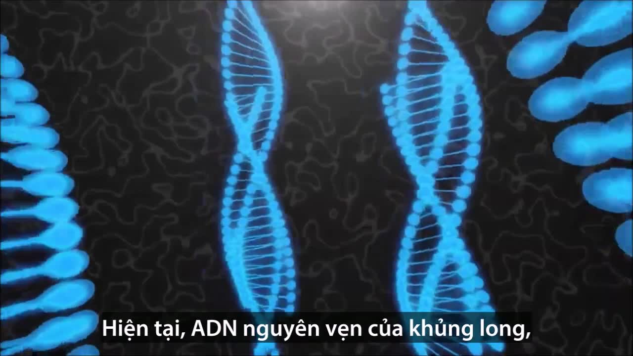 Có thể hồi sinh khủng long từ ADN không?