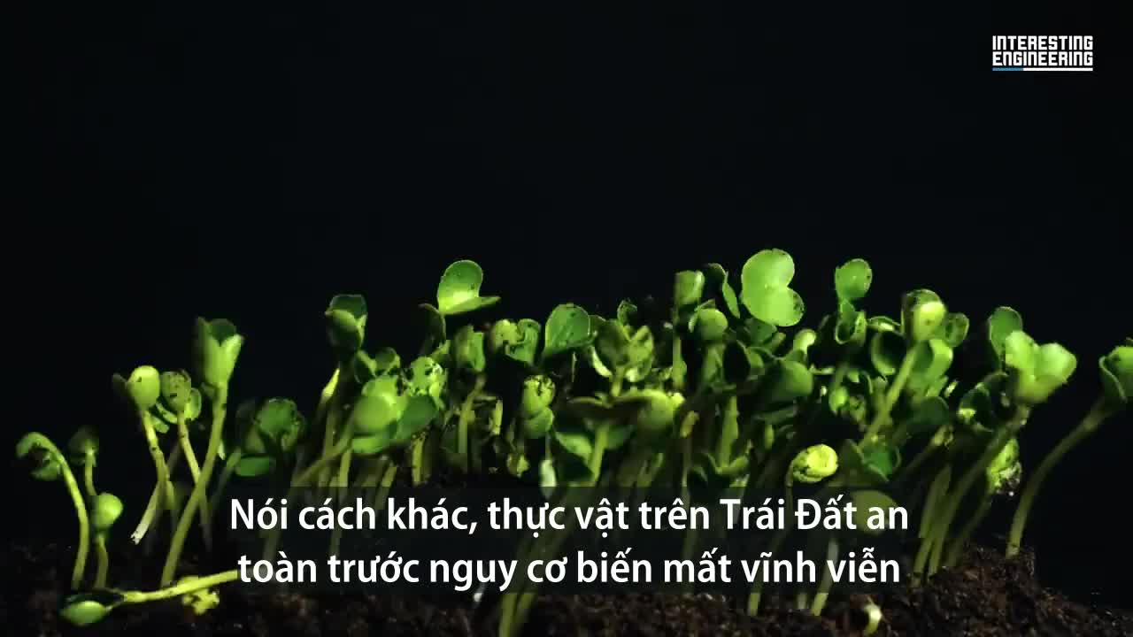 Thiết kế bền vững nghìn năm của hầm hạt chống tận thế