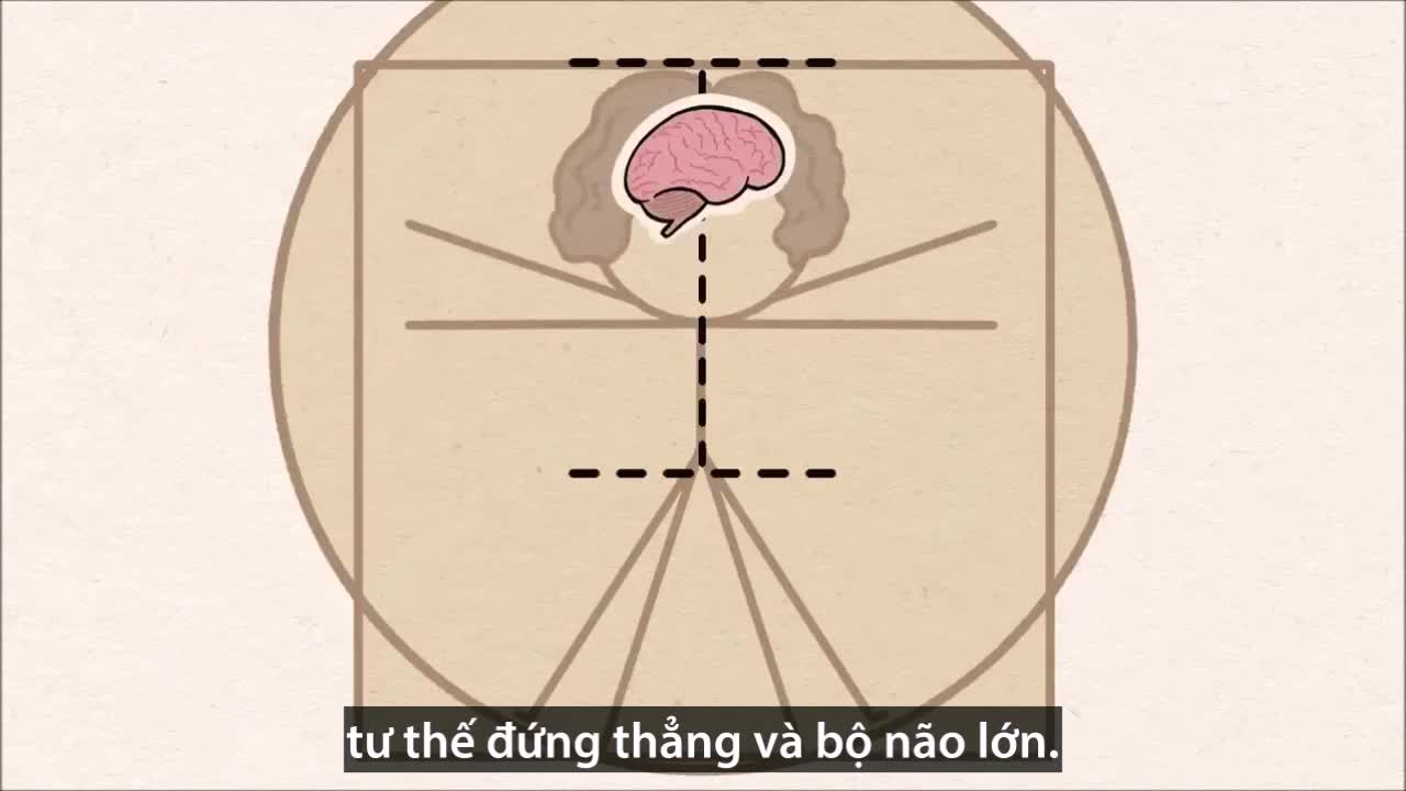 Lý do con người là loài vật duy nhất ngất xỉu vì sợ