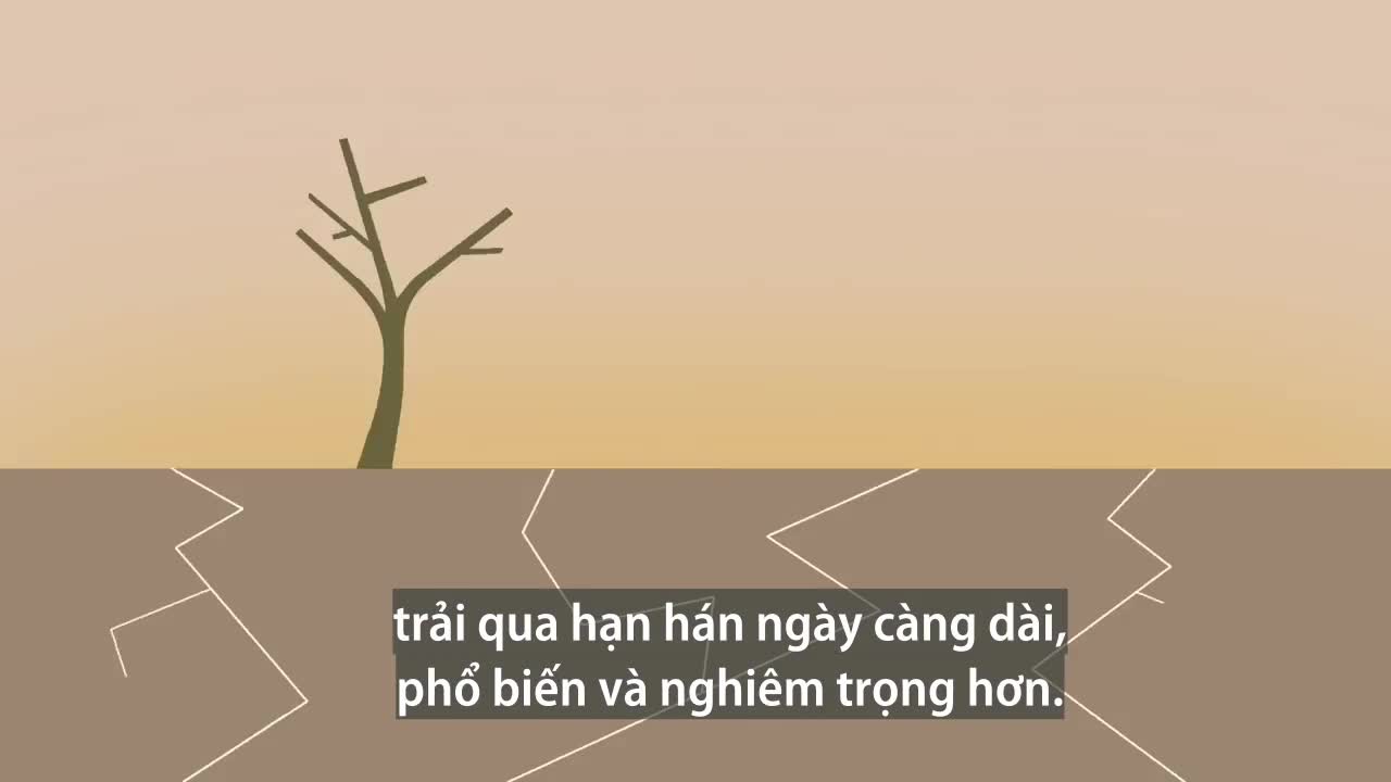 Viễn cảnh đáng sợ của Trái Đất vào năm 2050