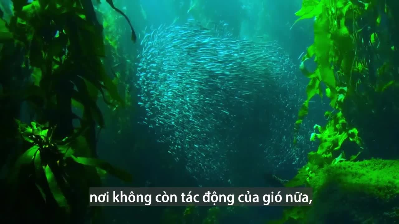 Thác nước lớn nhất thế giới nằm dưới biển