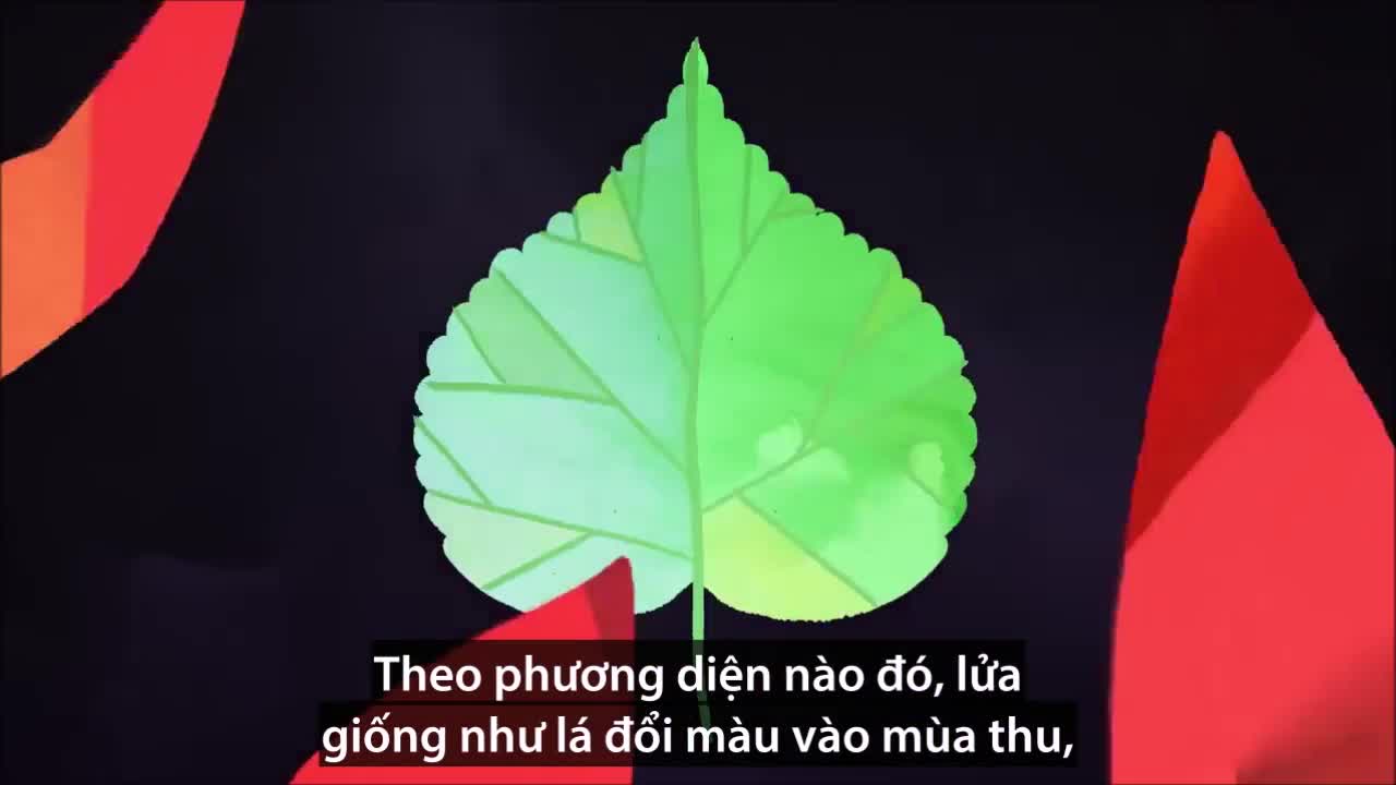 Lửa là chất rắn, lỏng, khí hay plasma