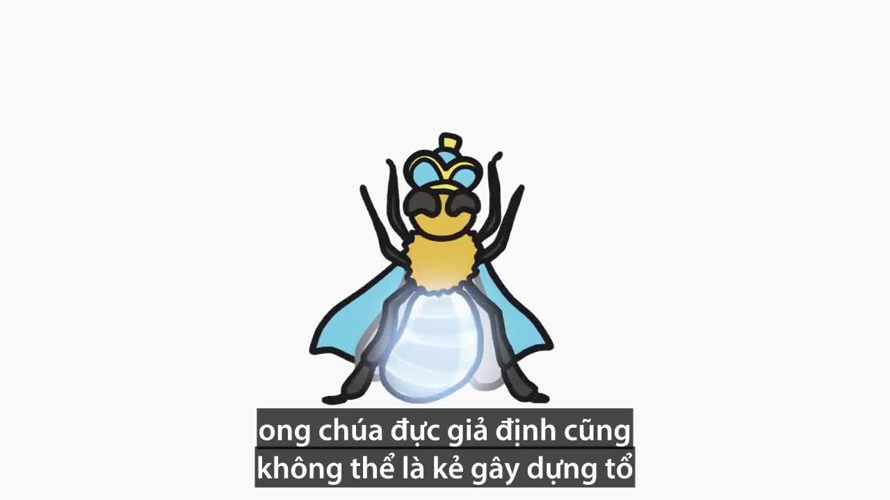 Tại sao không có ong chúa đực