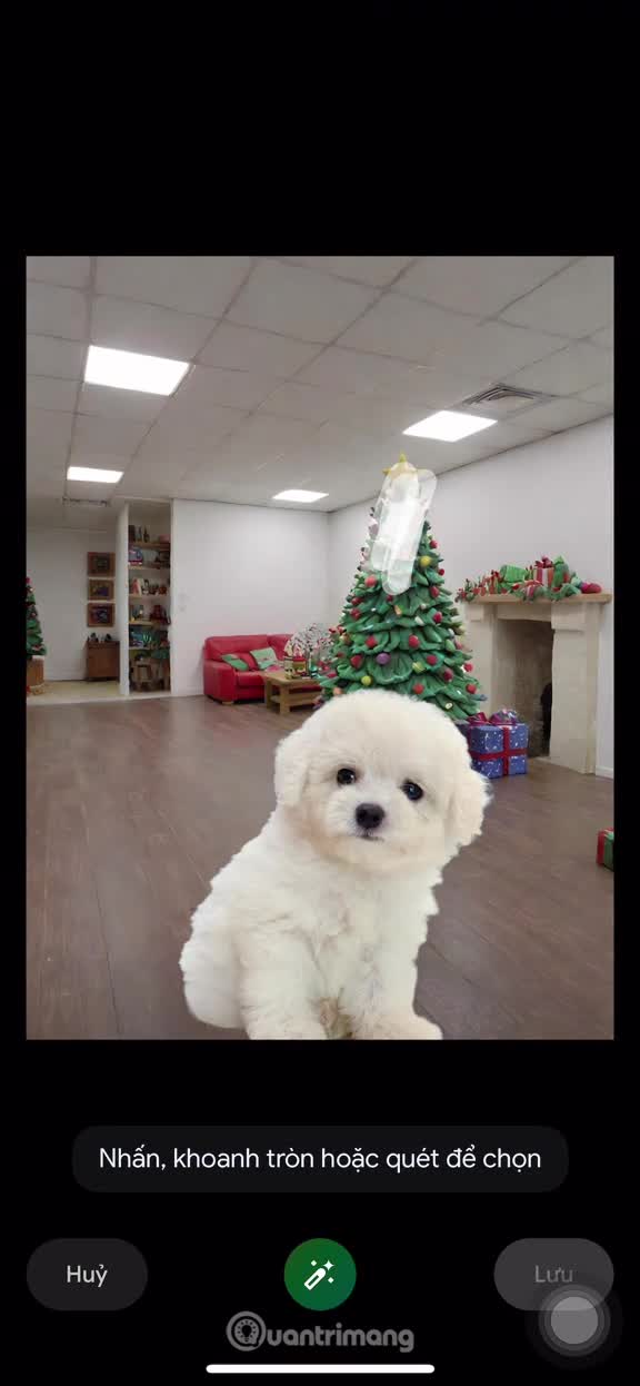 Hướng dẫn xóa vật thể trong ảnh trên Google Photos