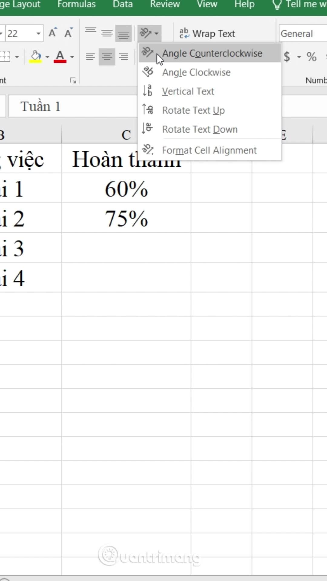 Cách viết chữ dọc trong Excel